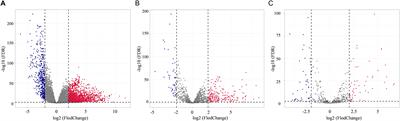 Characterization of lncRNA-Associated ceRNA Network to Reveal Potential Prognostic Biomarkers in Lung Adenocarcinoma